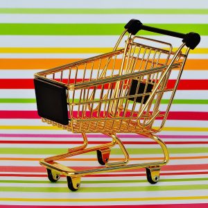 shopping-cart-300x300