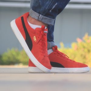 puma-1838735_1920-300x300